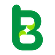 Bimg AI logo