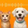 Dog Translator logo