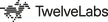 TwelveLabs logo