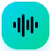 NoiseWipe logo