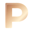 PAMA AI logo