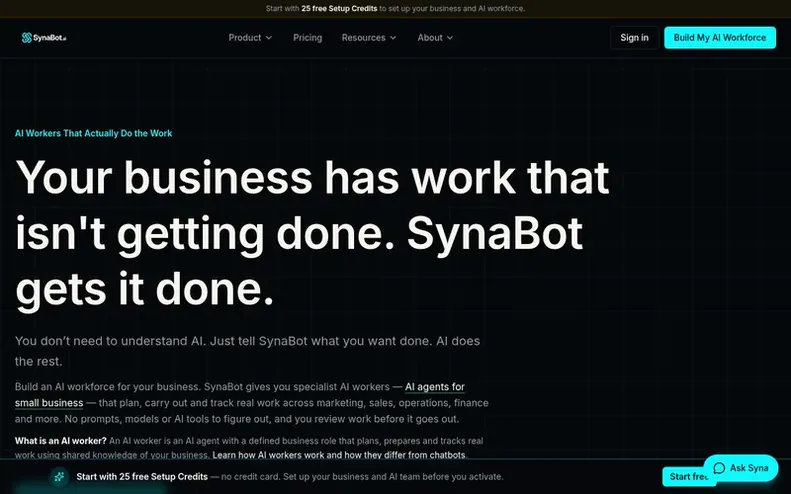 Screenshot of the SynaBot homepage