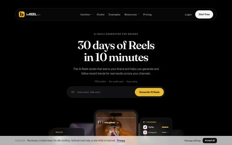 Screenshot of the beREEL.pro homepage