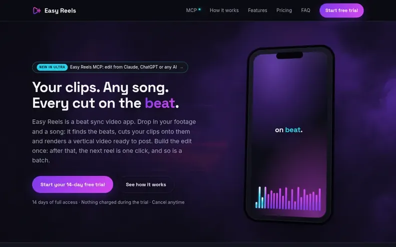 Screenshot of the Easy Reels homepage