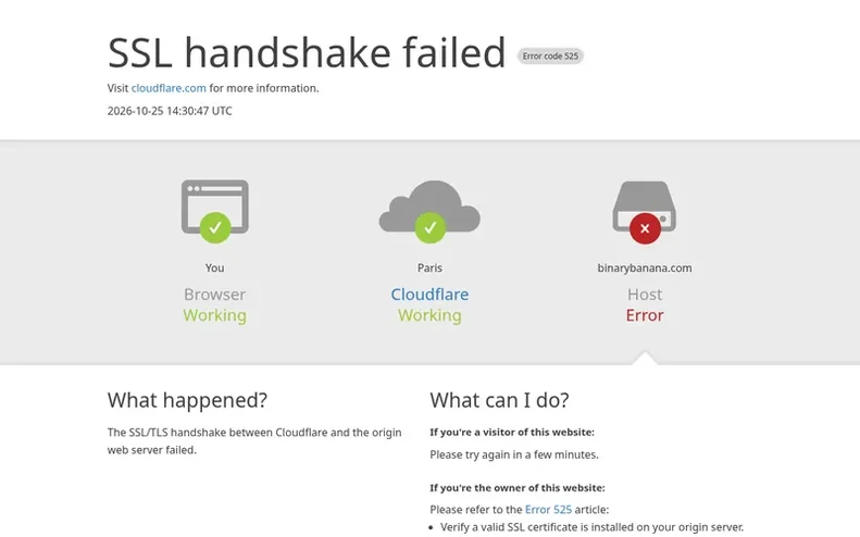 Screenshot of the Binary Banana homepage