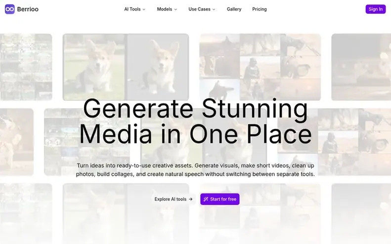Screenshot of the Berrioo homepage
