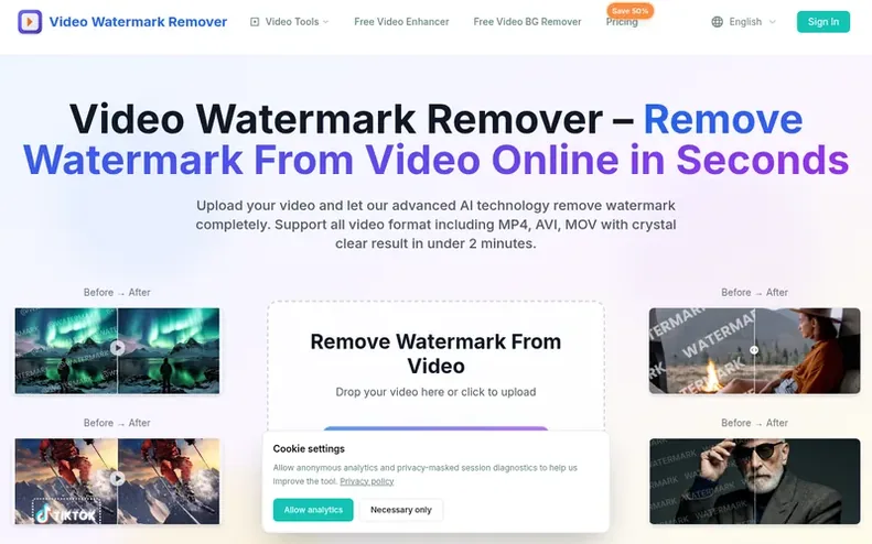 Screenshot of the Video Watermark Remover homepage