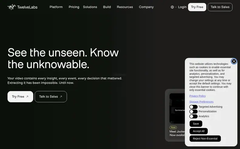 Screenshot of the TwelveLabs homepage