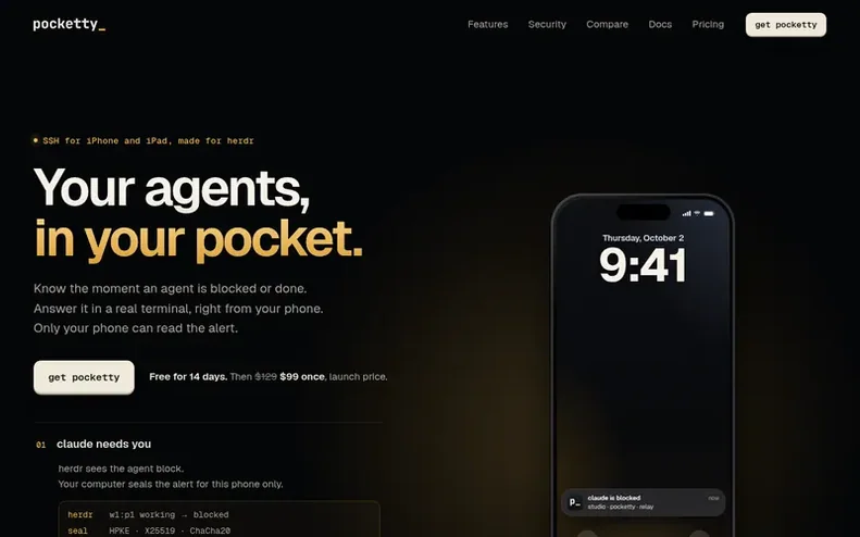 Screenshot of the pocketty homepage