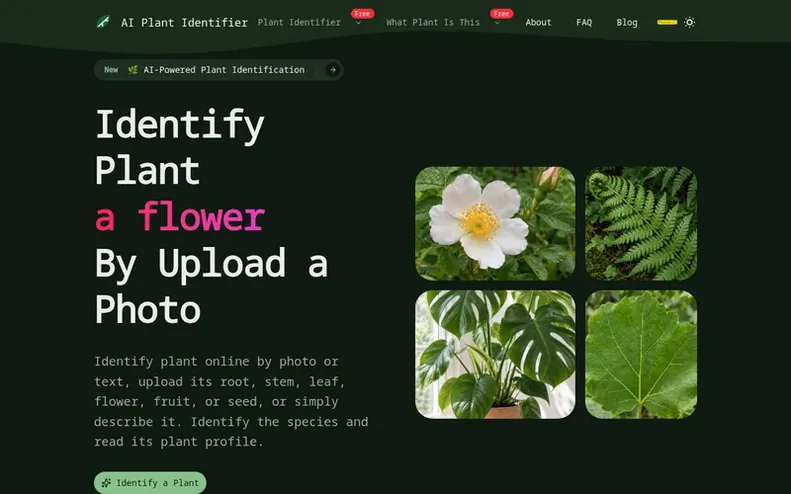 Screenshot of the What Plant Is This - Plant Identifier & Plant Finder homepage