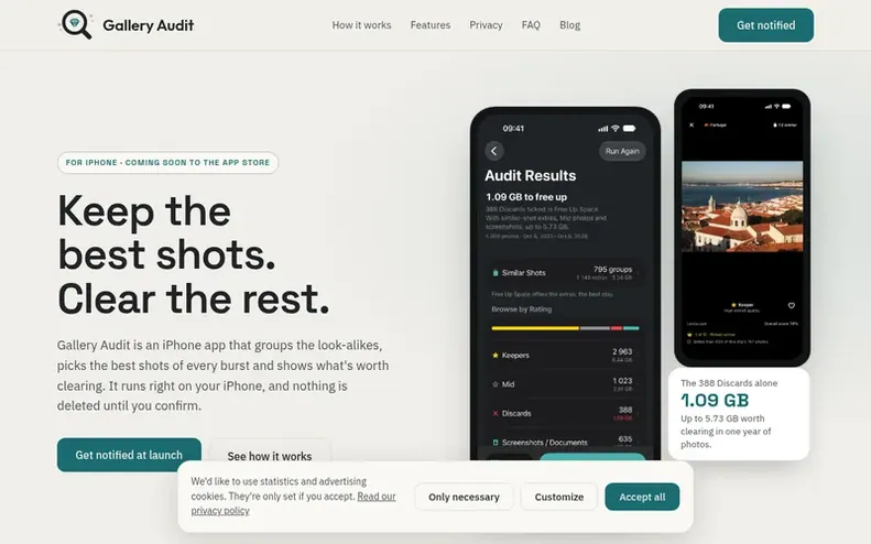 Screenshot of the Gallery Audit homepage