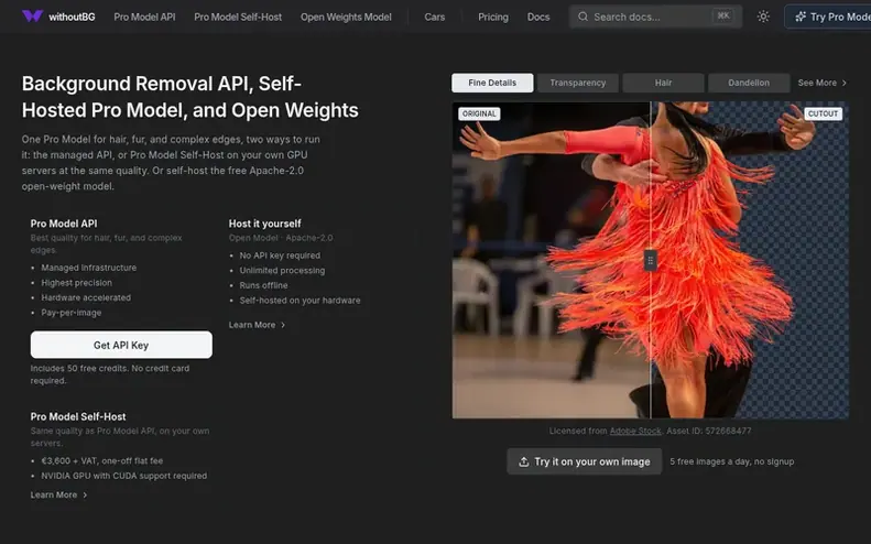 Screenshot of the withoutBG homepage