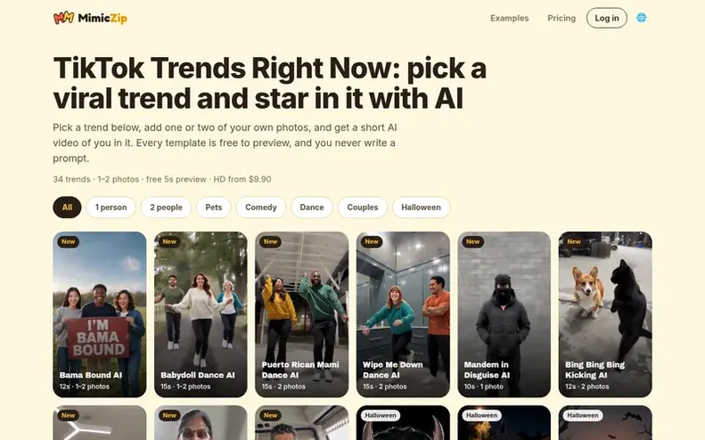 Screenshot of the MimicZip homepage