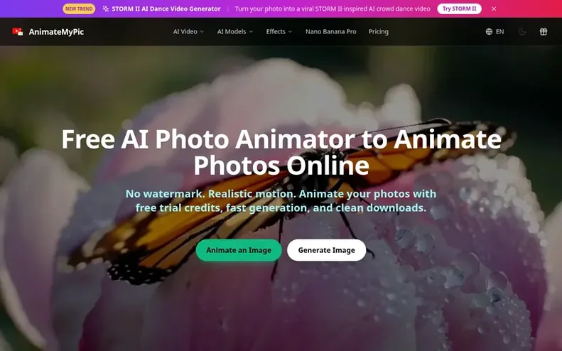 Screenshot of the AnimateMyPic homepage