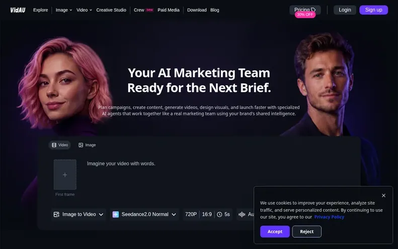 Screenshot of the VidAU homepage