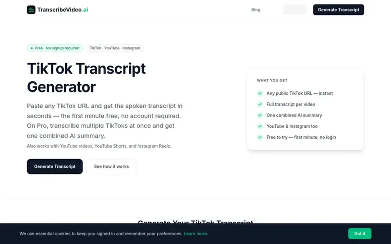 Screenshot of the TranscribeVideo.ai homepage