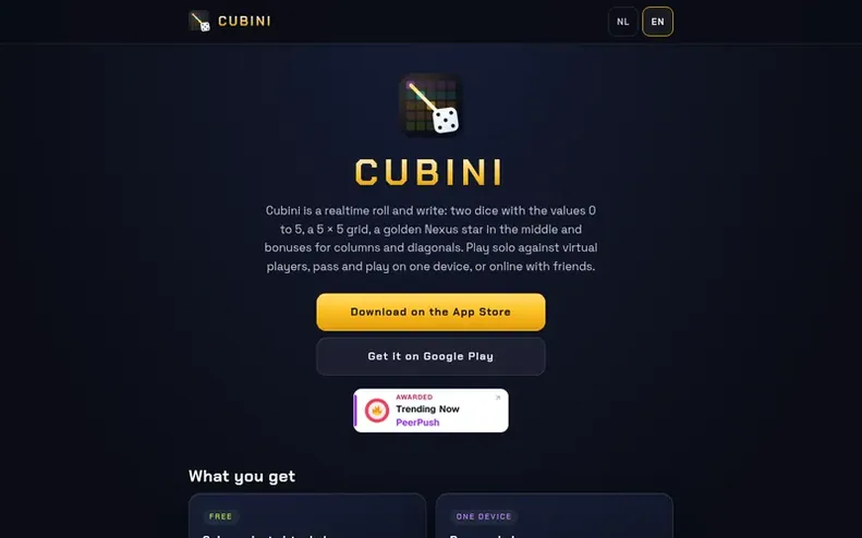 Screenshot of the Cubini homepage