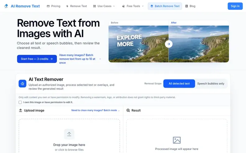 Screenshot of the AI Remove Text homepage